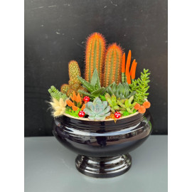 ÖZEL CANLI TERARYUM